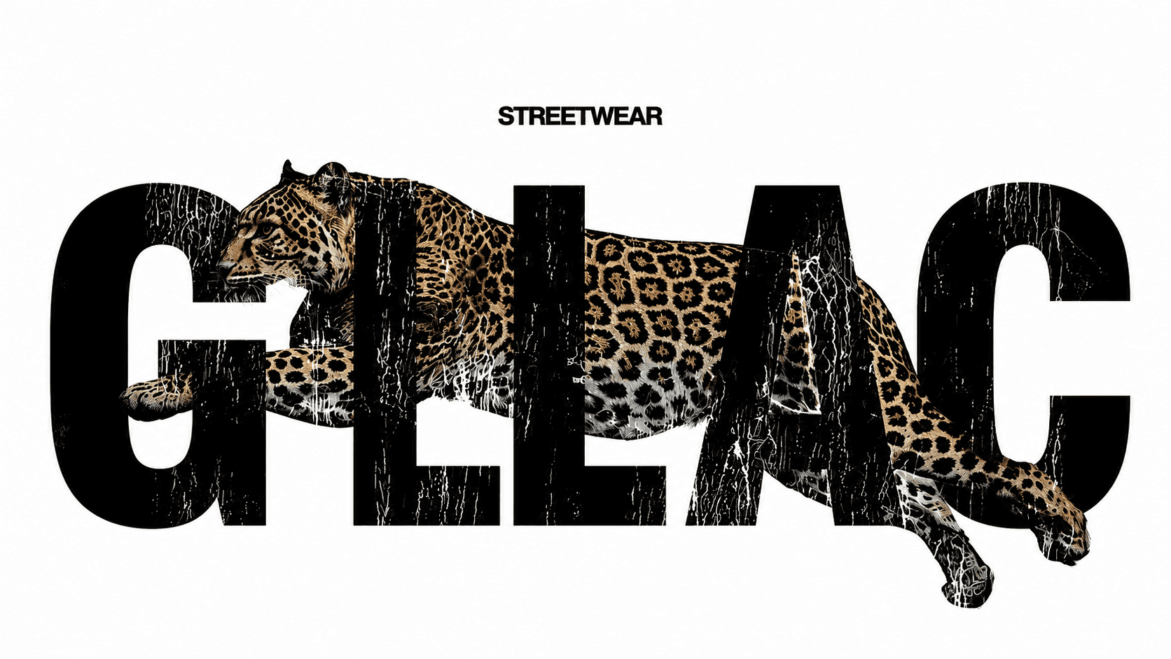 GLLAC Autumn Collection Hero Image 1